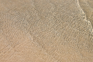 soft wave of the sea on the sandy beach.