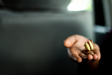 flower in the hand