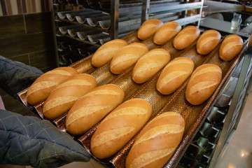 Loaves of bread on baking tray