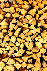 Wooden logs on pile
