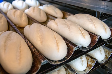 Bread dough on baking tray
