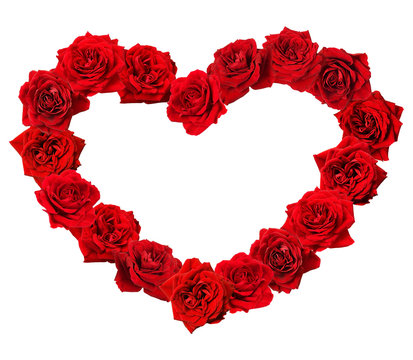 Red rose flowers in a heart shape frame