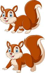 Cartoon funny squirrel a smile