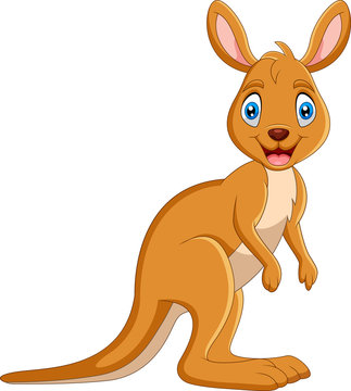 Cartoon funny Kangaroo is smiling