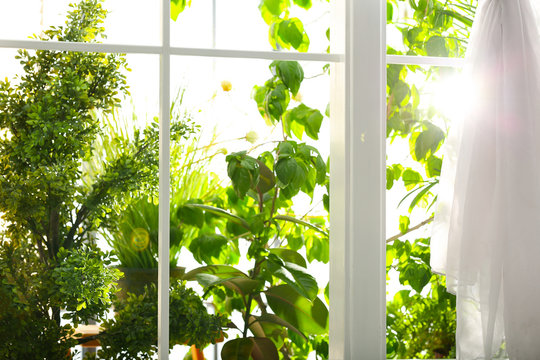Fototapeta Beautiful view through window on garden in morning