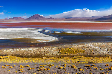 Bolivia, the southwest of the Altiplano. Eduardo Avaroa Andean Fauna National Reserve. Laguna...