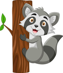 Cartoon Funny raccoon holds wood