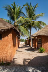 Traditional tourist resort in Senegal. Big green palms.