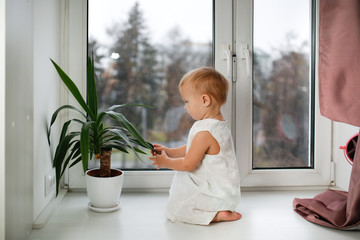 Girl child toddler with plant in pot near window