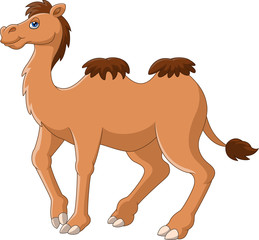 Cartoon funny camel smile and standing 