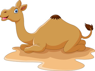 Cartoon funny camel sitting in desert