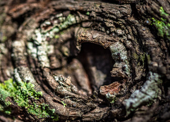 Spiraled and confused!