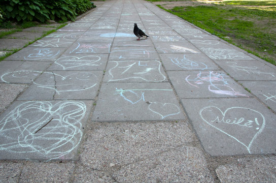 Bird in neighborhood