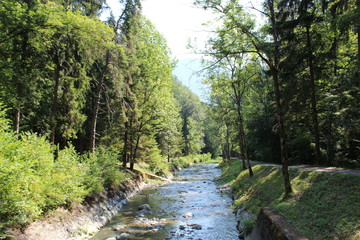 Fototapeta na wymiar Rivière en forêt