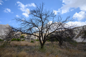 kappadokien türkei göreme avanos