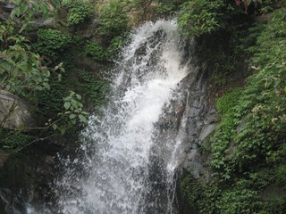 waterfall in forest