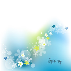 Spring decoration, cute flowers over blue and white background