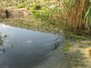 Wadi Qana Reserve in Palestine