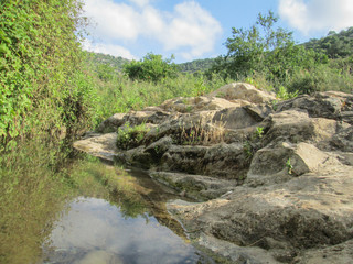 Fototapeta na wymiar Wadi Qana Reserve in Palestine