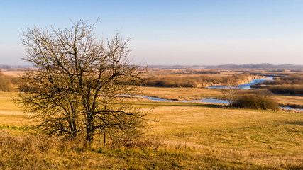 Syczeń 2020, Ciepła zima nad Biebrzą, Biebrzański Park Narodowy, Biebrza Podlasie, Polska © podlaski49