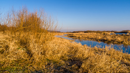 Syczeń 2020, Ciepła zima nad Biebrzą, Biebrzański Park Narodowy, Biebrza Podlasie, Polska © podlaski49