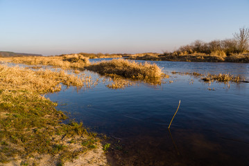 Syczeń 2020, Ciepła zima nad Biebrzą, Biebrzański Park Narodowy, Biebrza Podlasie, Polska © podlaski49