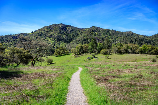 A dirt path cuts through the middle and then turns left and goes out of sight in the center of the picture with tree covered hills in the background at Sugarloaf Ridge State Park