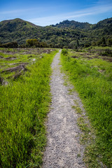 Dirt path with bright green grass on both sides cuts through the middle of the picture and heads towards tree covered hills at Sugarloaf Ridge State Park