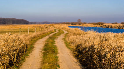 Syczeń 2020, Ciepła zima nad Biebrzą, Biebrzański Park Narodowy, Biebrza Podlasie, Polska © podlaski49