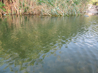 Wadi Cana in Palestine 