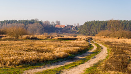 Syczeń 2020, Ciepła zima nad Biebrzą, Biebrzański Park Narodowy, Biebrza Podlasie, Polska © podlaski49