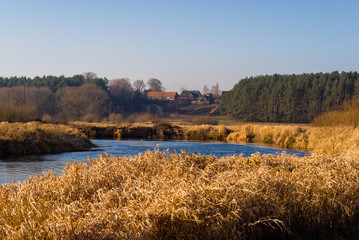 Syczeń 2020, Ciepła zima nad Biebrzą, Biebrzański Park Narodowy, Biebrza Podlasie, Polska © podlaski49