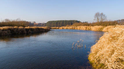 Syczeń 2020, Ciepła zima nad Biebrzą, Biebrzański Park Narodowy, Biebrza Podlasie, Polska © podlaski49