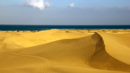 sand dunes in Gran Canaria