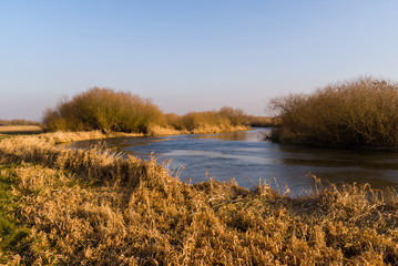 Syczeń 2020, Ciepła zima nad Biebrzą, Biebrzański Park Narodowy, Biebrza Podlasie, Polska © podlaski49