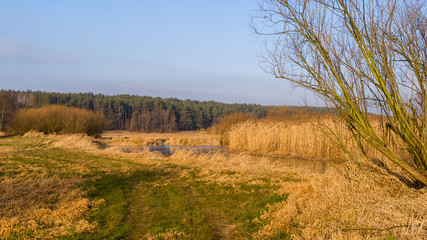 Syczeń 2020, Ciepła zima nad Biebrzą, Biebrzański Park Narodowy, Biebrza Podlasie, Polska © podlaski49