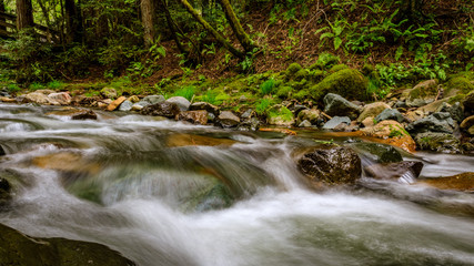 Long exposure makes the water of Sonoma Creek fluffy at Sugarloaf Ridge State park in Kenwood California