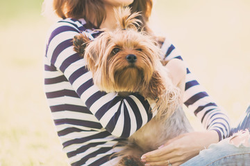 Beautiful girl in a striped sweater smiles and holds a small dog