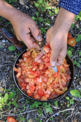 Frying tomatoes in nature