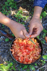 Frying tomatoes in nature
