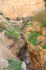 Wadi Qallat in Jericho Palestine