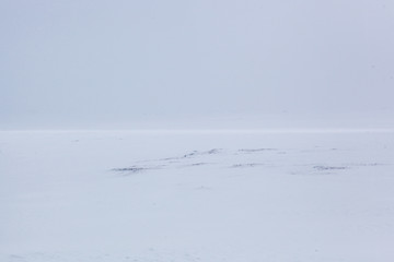 Snow texture background with copy space 