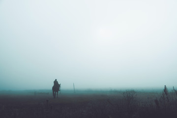 Silhouette rider on a horse in a field shrouded in fog. Dramatic landscape.
