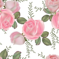 Pink roses seamless pattern on white background  vector illustration