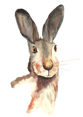 A watercolor portrait of a beautiful brown and tawny rabbit with dark yellow eyes and big fluffy ears