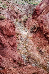Red slopes of the Altai 