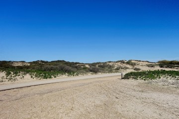 Dutch dunes landscape
