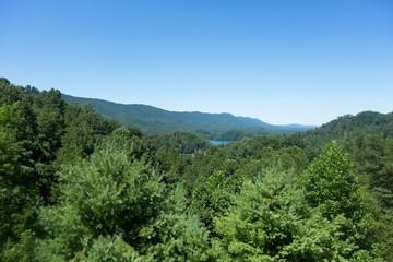 Naklejka premium Great Smoky Mountains