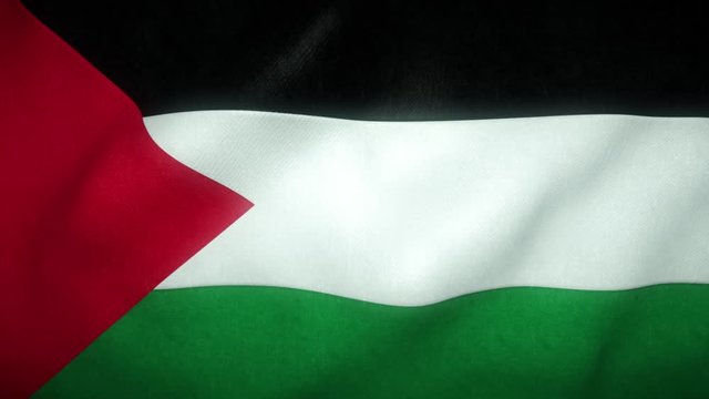 flag of palestine waving in the wind