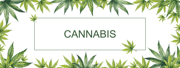 Banner of green leaves of cannabis on a white background. Watercolor illustration. In the center is a place for your text. - obrazy, fototapety, plakaty
